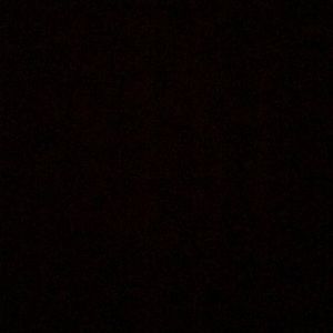 Meet your Posher, Sasha